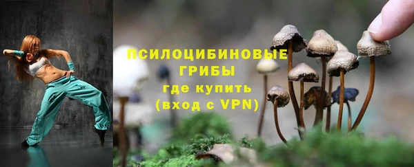 Альфа ПВП Липки
