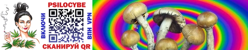 Купить  Рыбное  Галлюциногенные грибы Magic Shrooms 